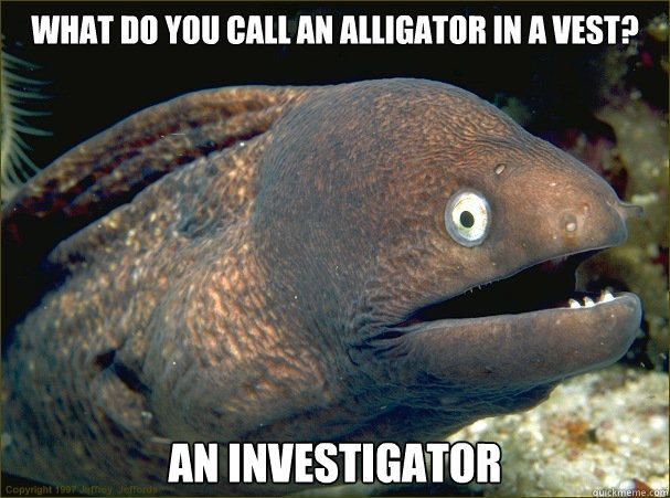 A meme with a bad eel joke